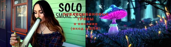 МДПВ Зеленодольск