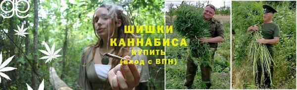 гашиш Инта