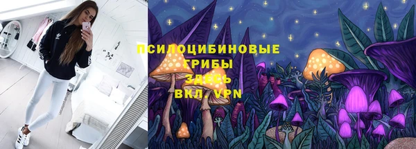 твердый Зеленокумск