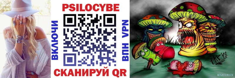 Галлюциногенные грибы Psilocybine cubensis  Купить  Олёкминск 